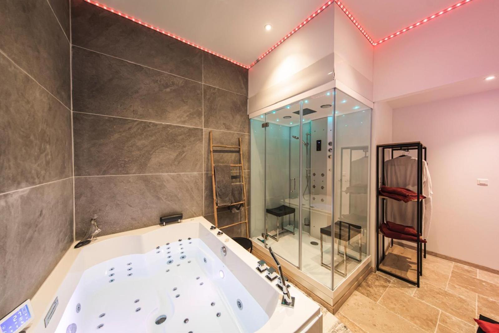 Apartment Appart'detente *jacuzzi *hammam*sauna* Chinon