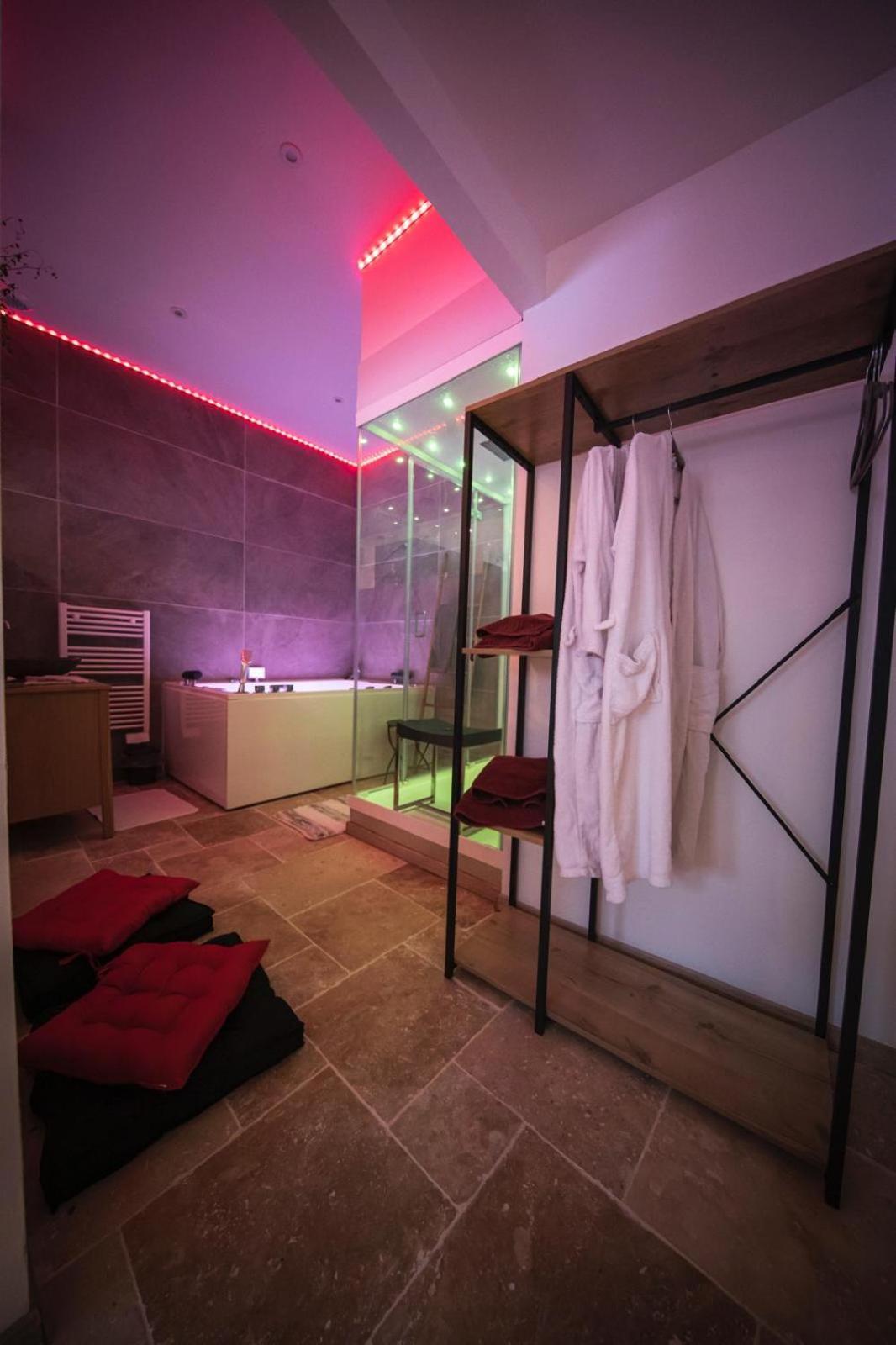 Appart'detente *jacuzzi *hammam*sauna* Chinon